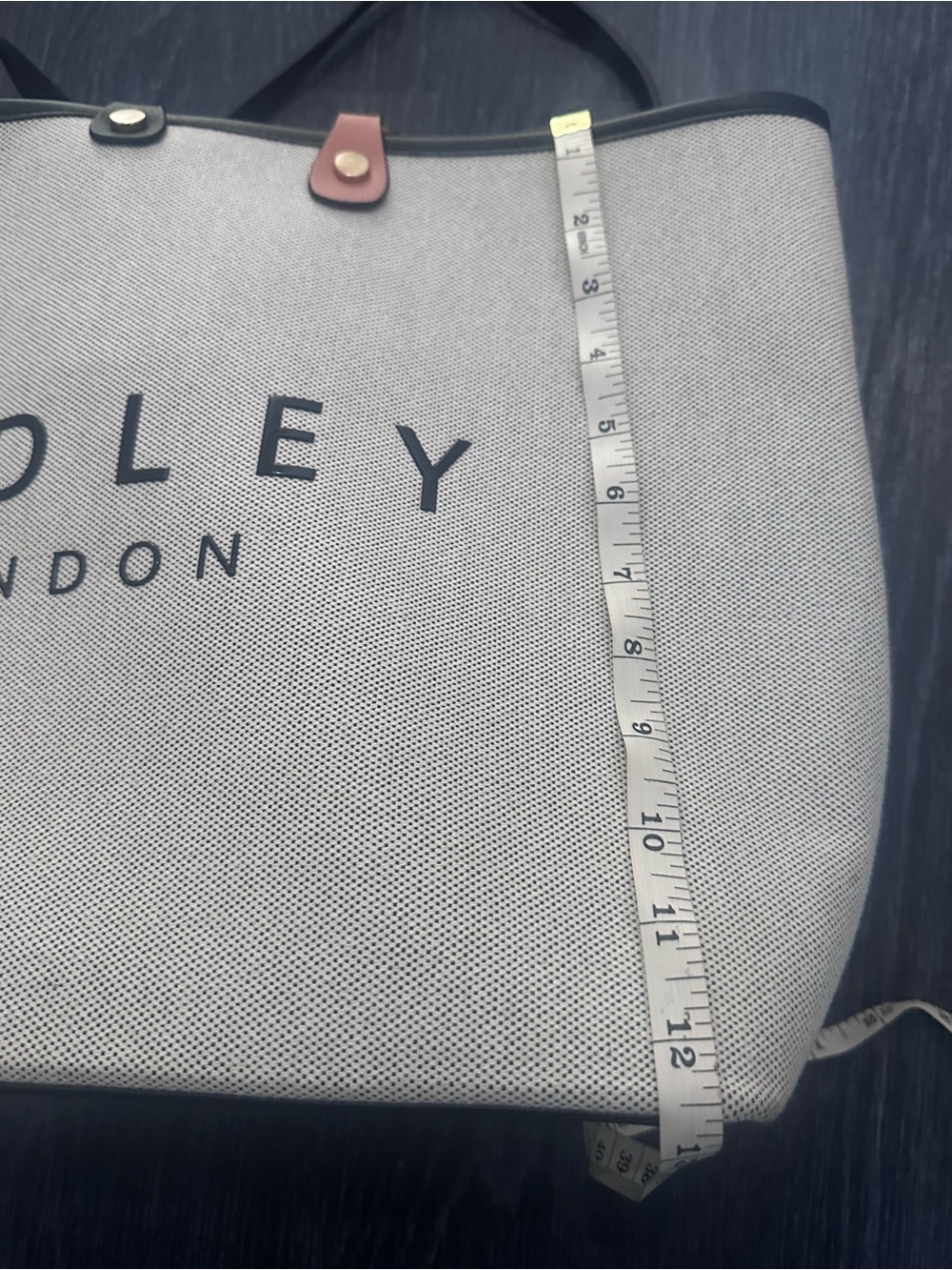 RADLEY LONDON Beige Canvas Tote with Black Trim and Tan Accent - Picture 8 of 9